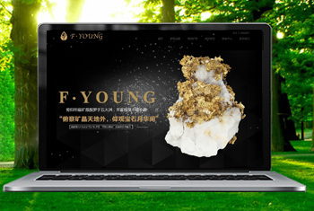 ���帩�����ﱦʯ